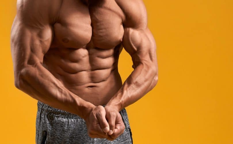 Le muscle pèsetil plus lourd que la graisse ? La réponse enfin dévoilée — free download